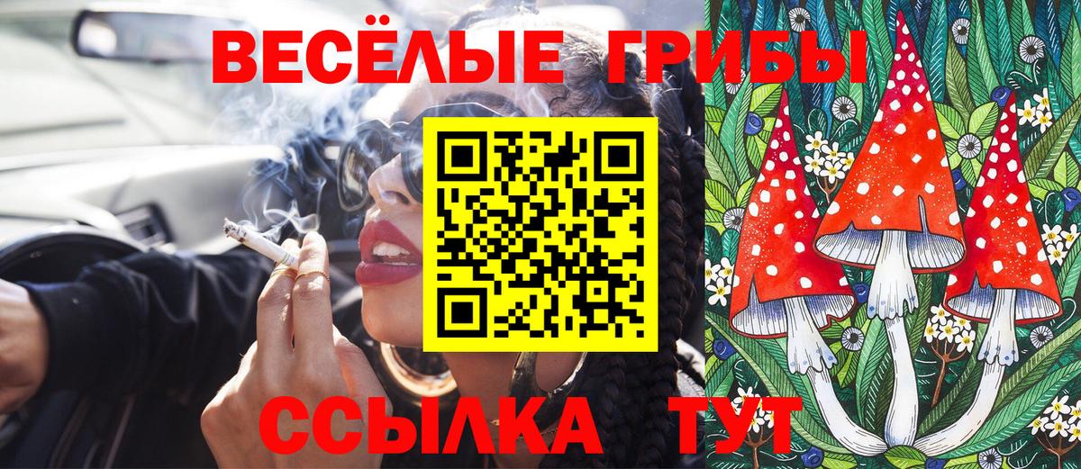 Кольчугино  Псилоцибиновые грибы мухоморы  Псилоцибиновые грибы прущие грибы  цена   Вход с VPN 